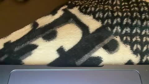 sydneysweetsins online show from 06/12/26, 02:54