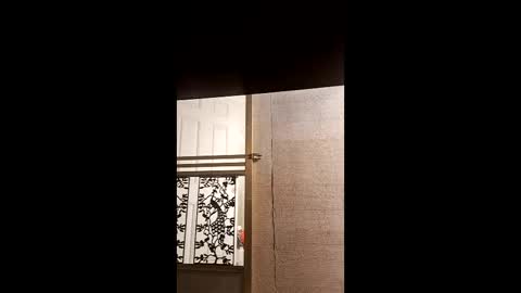 syevecrl online show from 02/04/26, 11:31