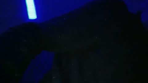 sylvauvert70 online show from 01/18/26, 03:10