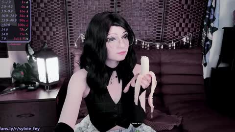 Snapshot of sylvie_fey chatting on 01/27/25, 02:53 Sylvie online show from 01/27/25, 02:53