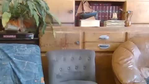 sympa_trique online show from 10/09/25, 10:35