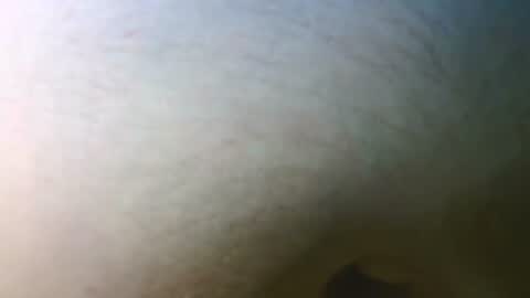 Snapshot of syrius57920 chatting on 11/07/25, 05:13 syrius57920 online show from 11/07/25, 05:13