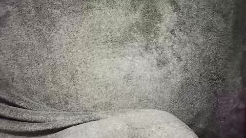 t0ny_cawk online show from 12/22/24, 07:54