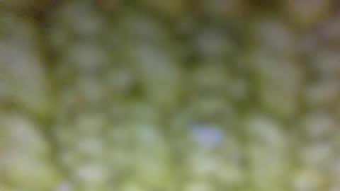 Prostate Orgazmer online show from 05/29/26, 01:42