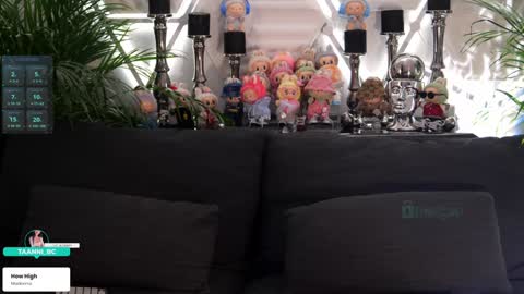 TAANNI online show from 11/11/25, 09:48