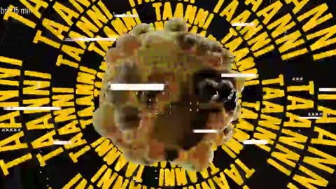 TAANNI online show from 05/18/26, 10:26