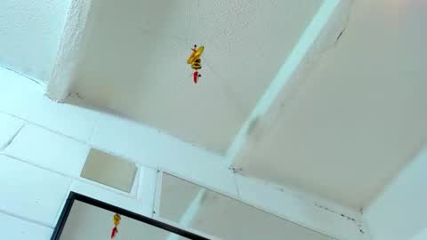 Tafari Zulu online show from 03/02/26, 05:08