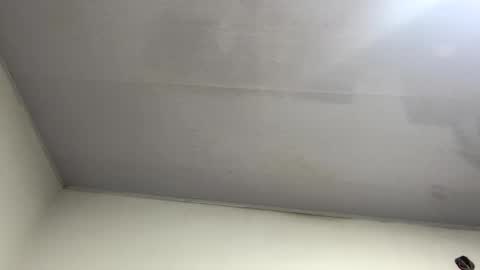 tali  online show from 10/26/25, 11:20