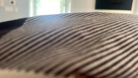 Snapshot of talk2me818 chatting on 01/02/25, 03:08 talk2me818 online show from 01/02/25, 03:08