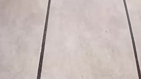 Snapshot of tall6feet7inch chatting on 09/24/25, 10:29 tall6feet7inch online show from 09/24/25, 10:29