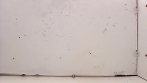 tall6feet7inch online show from 02/27/26, 05:24