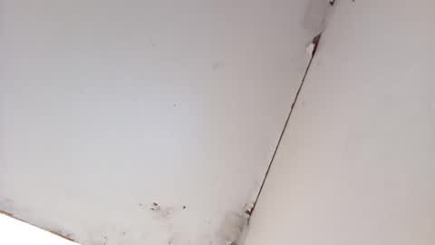 tall6feet7inch online show from 03/16/26, 08:40