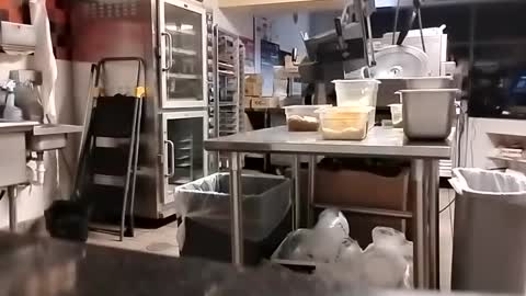 The Man of Steel online show from 09/10/25, 02:44