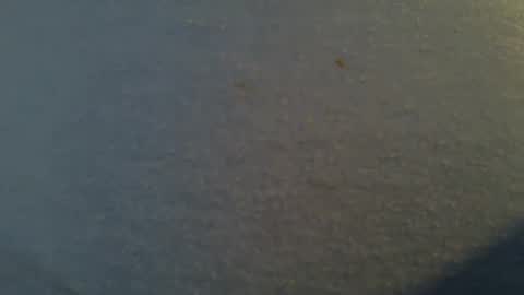 tallwxguy online show from 05/22/26, 06:13