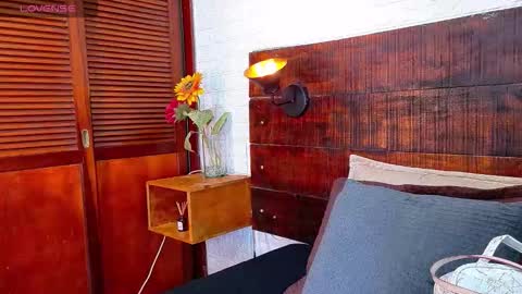    online show from 11/13/25, 10:47