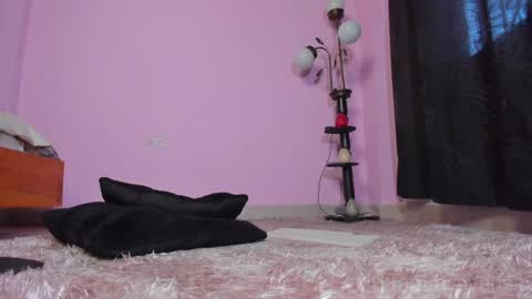 Snapshot of tammy_evans chatting on 01/23/25, 03:22 TAMARA online show from 01/23/25, 03:22