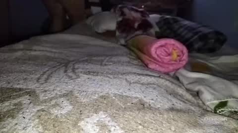 Snapshot of tangaxhentai3 chatting on 01/06/25, 12:48 tangaxhentai3 online show from 01/06/25, 12:48