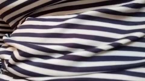 Snapshot of taniya_roy4628 chatting on 03/01/26, 04:14 taniya_roy4628 online show from 03/01/26, 04:14