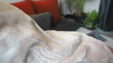 Snapshot of tasty_tomato chatting on 02/21/25, 08:40 RHEA pronanciation like Reya online show from 02/21/25, 08:40