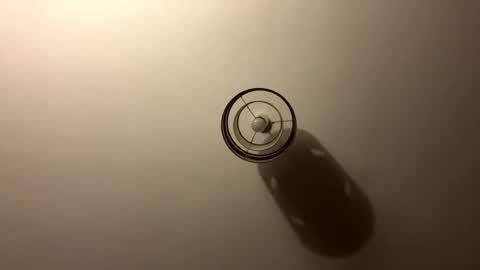 tastytexas24 online show from 04/04/26, 11:02