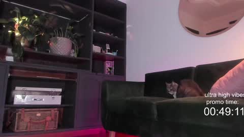 Snapshot of tattoo_ninja_kitty chatting on 12/02/24, 10:23 Nathalie Hardy online show from 12/02/24, 10:23