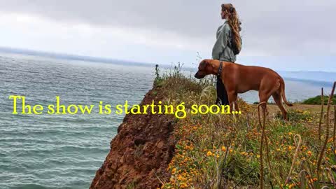 TATUM  ALL MY LINKS  online show from 02/28/26, 12:00