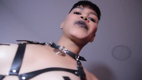 Taylor online show from 12/16/24, 06:27