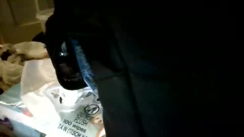 Snapshot of taylorriot chatting on 10/17/25, 02:48 Taylor Riot online show from 10/17/25, 02:48