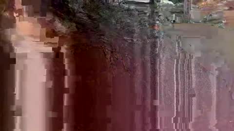 tbaexox online show from 09/18/25, 03:41