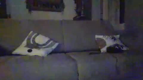 Snapshot of tchoop64 chatting on 12/21/25, 08:27 tchoop64 online show from 12/21/25, 08:27