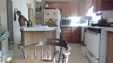 Teak online show from 10/01/25, 08:15