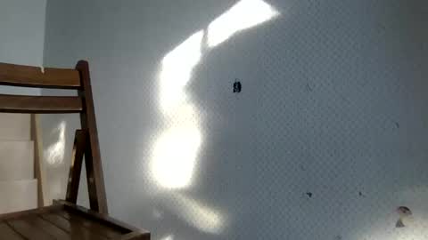 tec0vas online show from 12/30/24, 08:25