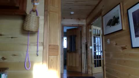 tec0vas online show from 01/08/26, 06:54