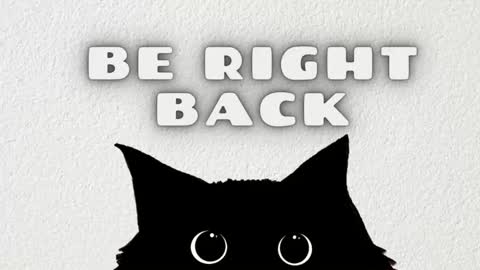 Ted online show from 01/05/26, 07:17