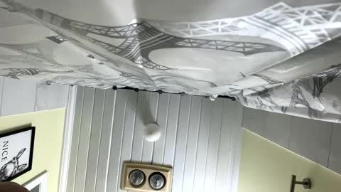 Snapshot of teejm chatting on 02/12/25, 12:33 Twizzler online show from 02/12/25, 12:33