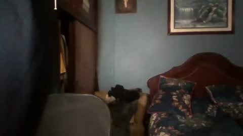 Snapshot of tender_eldelatienda chatting on 07/22/26, 12:35 Fabio Canavaro online show from 07/22/26, 12:35