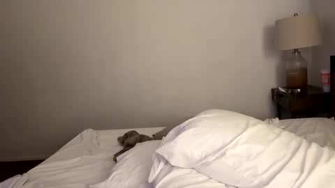 Tennman online show from 02/04/25, 02:43