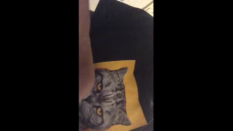 Snapshot of tericmidnight chatting on 12/17/25, 12:27 Call me Jason online show from 12/17/25, 12:27