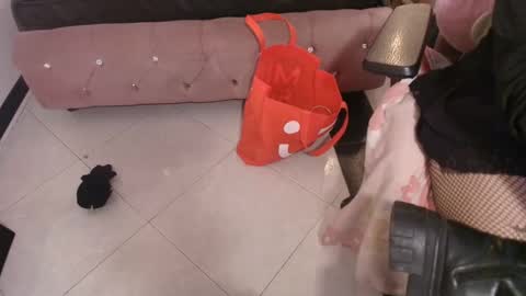 Terra Elowen online show from 12/21/25, 11:28