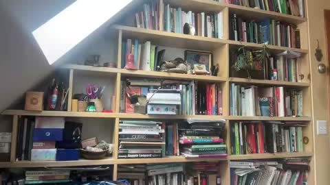 Terra Worship Findomme online show from 03/03/25, 06:01