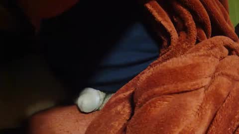 tetuo2 online show from 04/11/26, 08:40