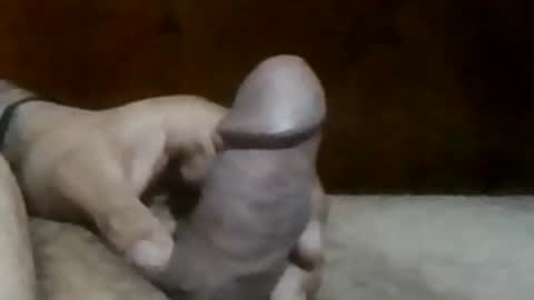 Snapshot of texasbigdaddy63 chatting on 09/19/25, 10:43 texasbigdaddy63 online show from 09/19/25, 10:43