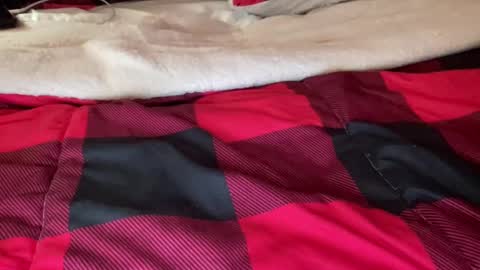 Snapshot of texashotrod chatting on 12/06/24, 06:59 Derick online show from 12/06/24, 06:59