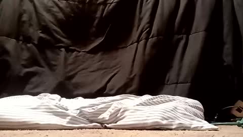 thatb1 online show from 09/28/25, 05:13