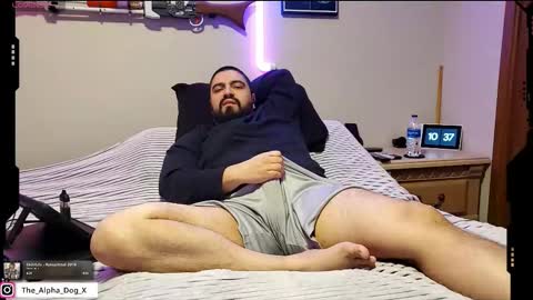 Snapshot of the_alpha_dog_xxx chatting on 02/23/26, 04:37 the_alpha_dog_xxx online show from 02/23/26, 04:37