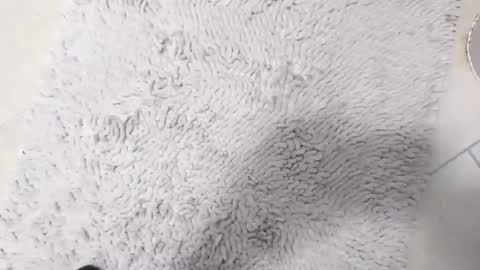 TheOne online show from 04/08/26, 08:42