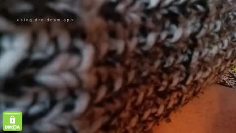 The Real Hanjob Couple online show from 02/04/26, 11:49