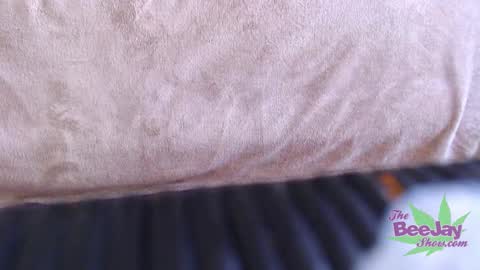 Snapshot of thebeejayshow chatting on 12/04/24, 01:36 TheBeeJayShow online show from 12/04/24, 01:36