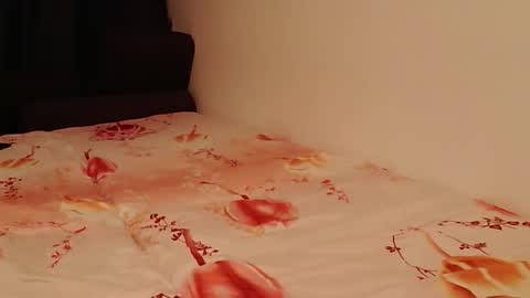 TheBigOne431 online show from 09/08/25, 03:44