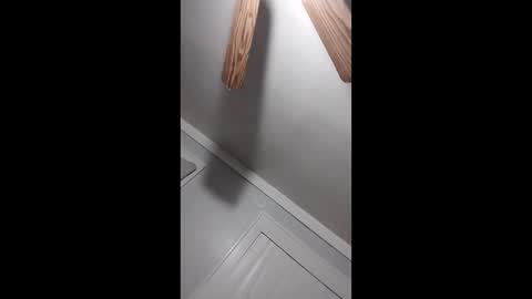 thedailyshower online show from 03/09/26, 06:06